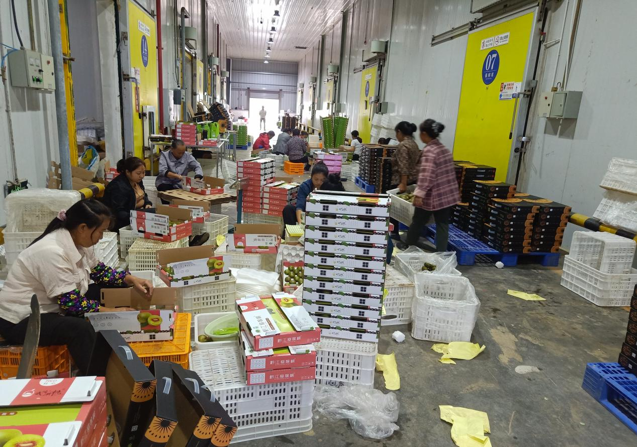 亚洲国产精品久久久久日本竹山梨