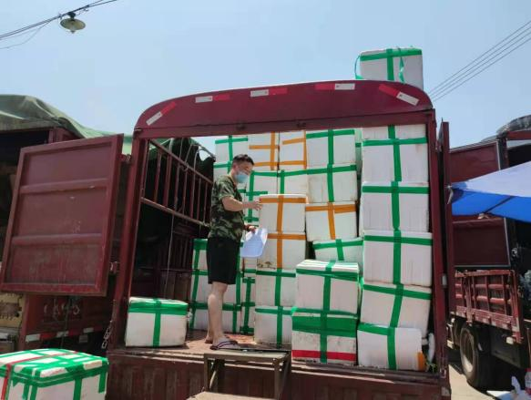 亚洲国产精品久久久久日本竹山梨