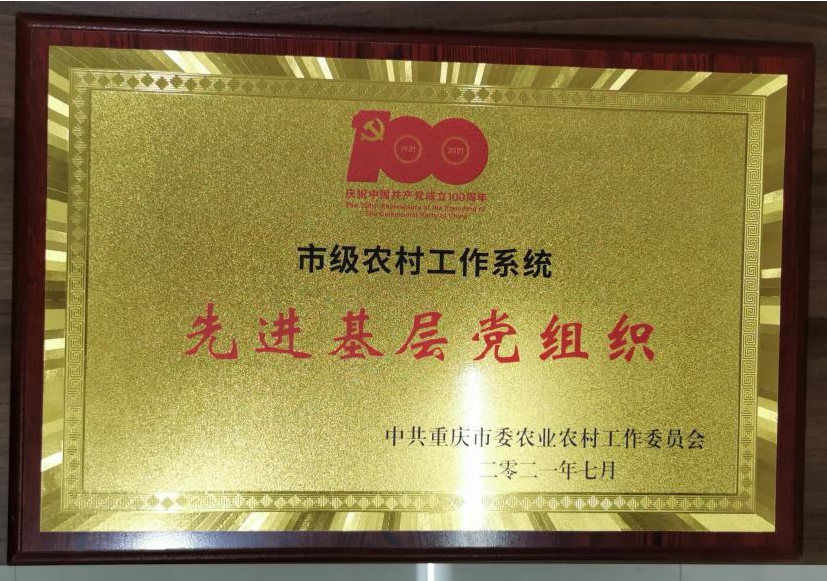 亚洲国产精品久久久久日本竹山梨