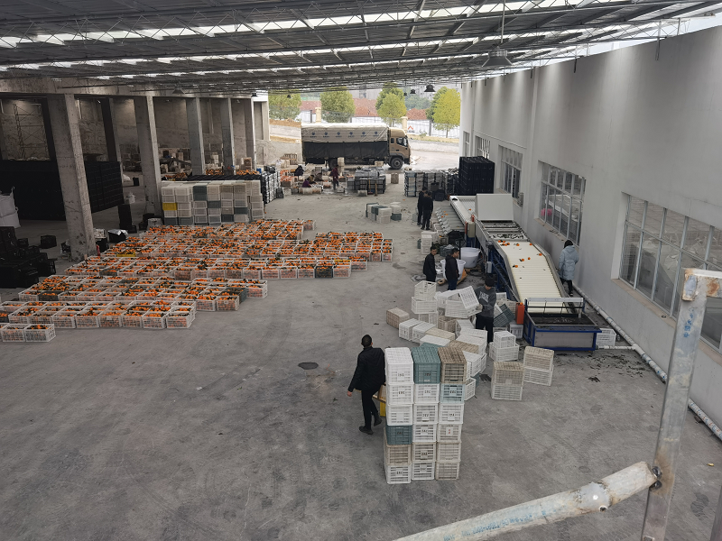 1645586755158511.png 奉节.png