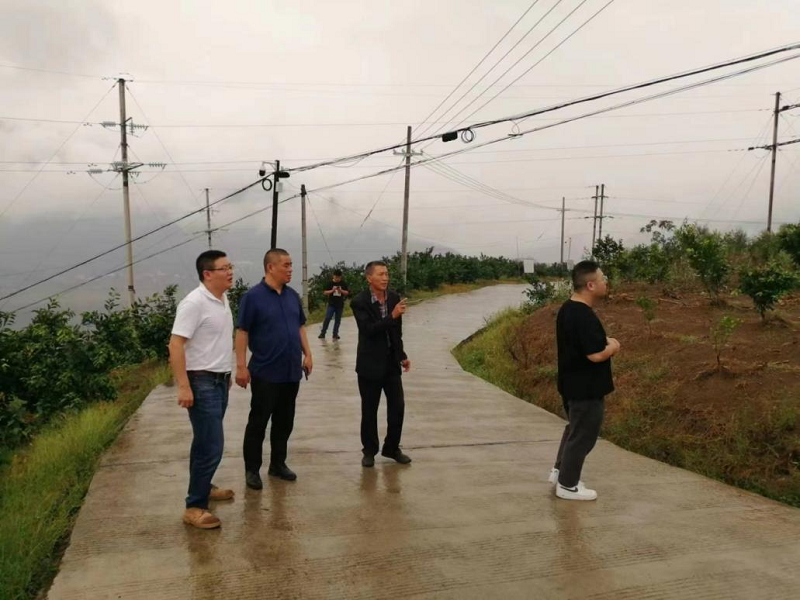 1664435570517103.png 乡村振兴.png