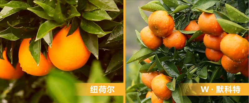 1701934108688138.png 图片4.png