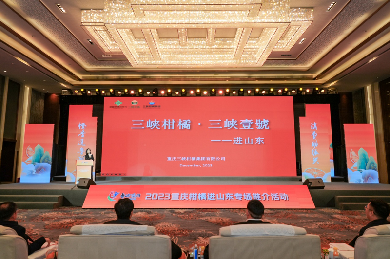 1703147670412934.png 图片10.png