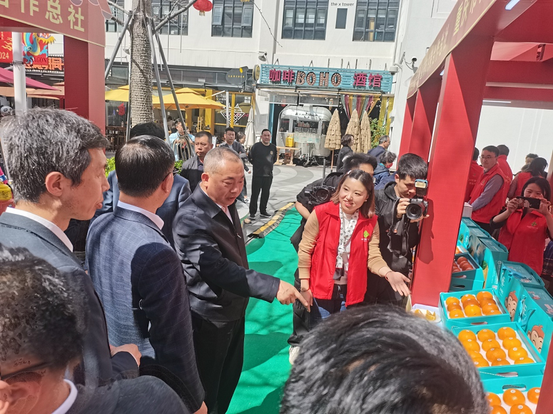 1712132557412184.png 图片35.png