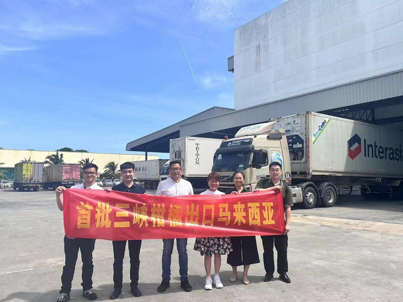 1717465294161946.png 图片25.png