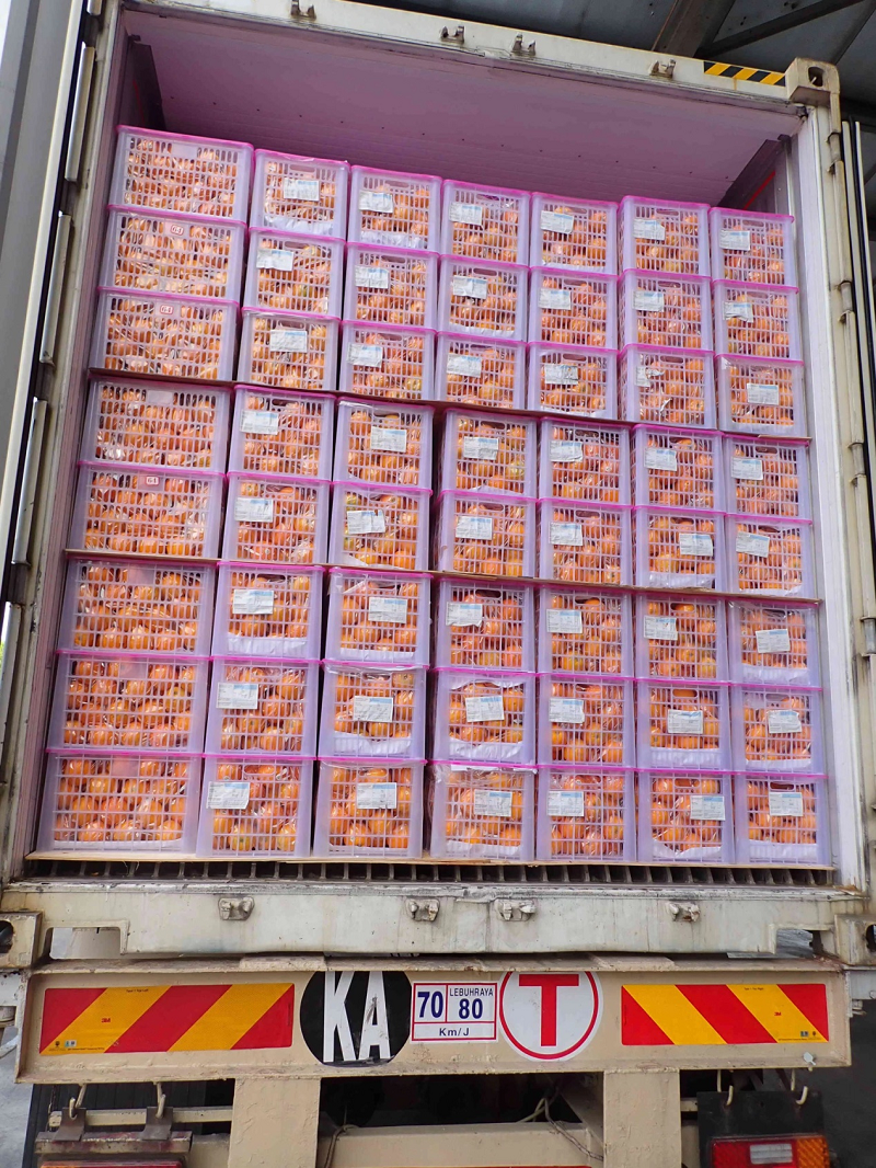 1717465350890401.png 图片26.png