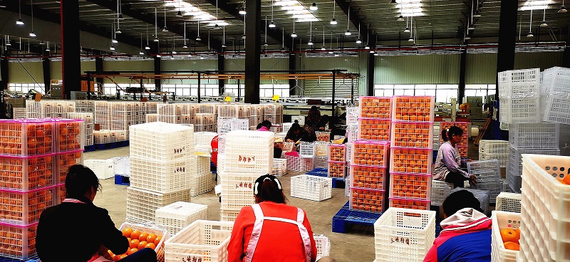 1717465399111117.jpg 微信图片_20240603163729.jpg