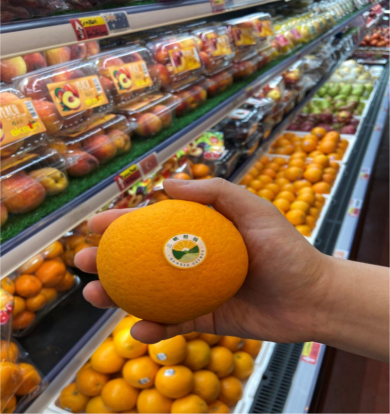 1717465456840465.png 图片27.png