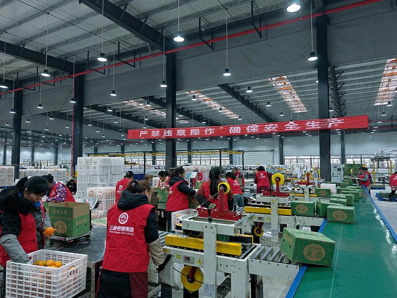 1735112382748286.png 图片13.png