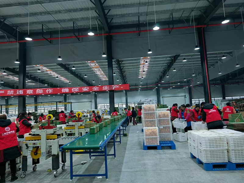 1735112394387227.png 图片14.png