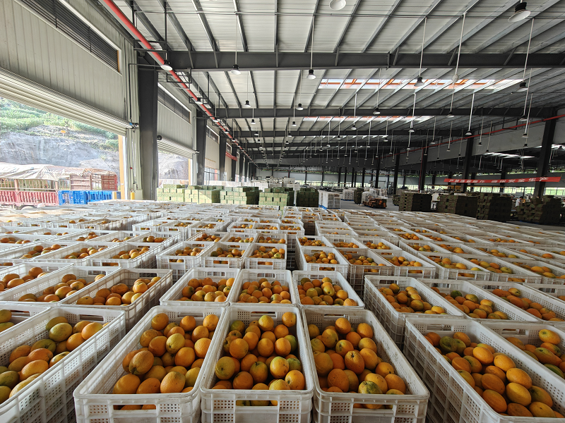 1747812383320506.png 图片16.png