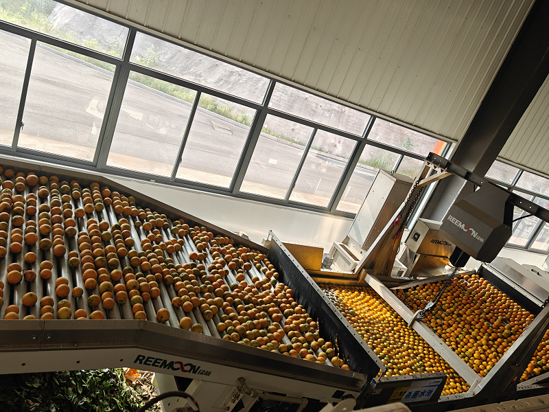 1747812456205089.png 图片17.png