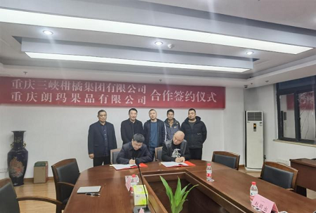 亚洲国产精品久久久久日本竹山梨