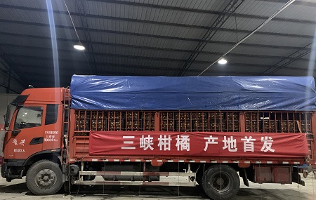 亚洲国产精品久久久久日本竹山梨