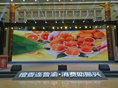 亚洲国产精品久久久久日本竹山梨