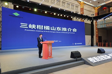 亚洲国产精品久久久久日本竹山梨