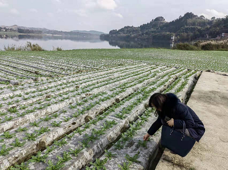 亚洲国产精品久久久久日本竹山梨