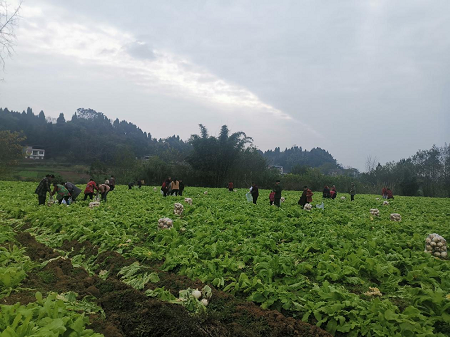亚洲国产精品久久久久日本竹山梨